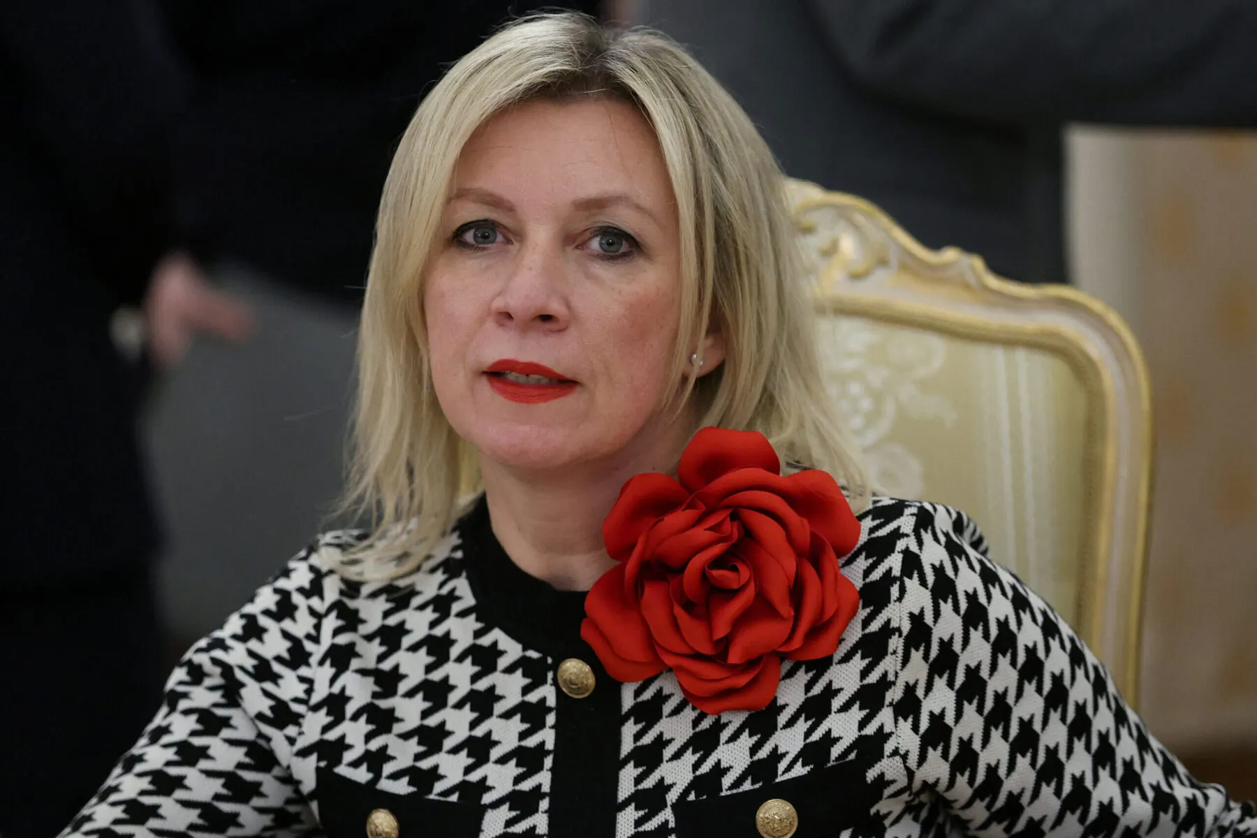 Официальный представитель МИД РФ на форуме о традиционных ценностях говорила о «запрете» русского языка и привела несколько цитат, которые не удалось подтвердить в трудах упомянутых авторов; исследователи связывают часть формулировок с текстами, похожими на тексты, созданные искусственным интеллектом.