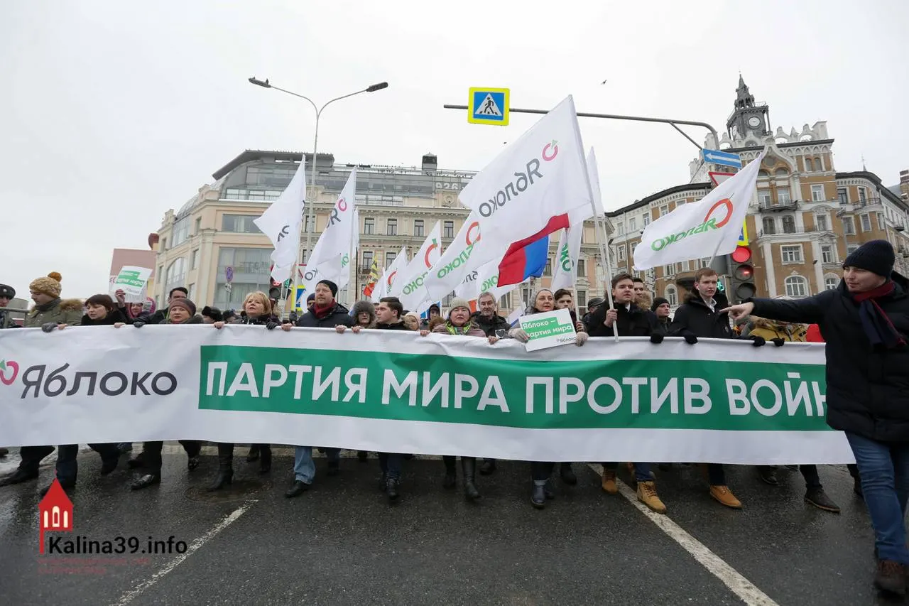 После регистрации федерального списка «Яблока» эксперты предполагают, что партии могли дать допуск, чтобы канализировать протестные настроения в контролируемое русло, хотя многих известных кандидатов лишили возможности участвовать.