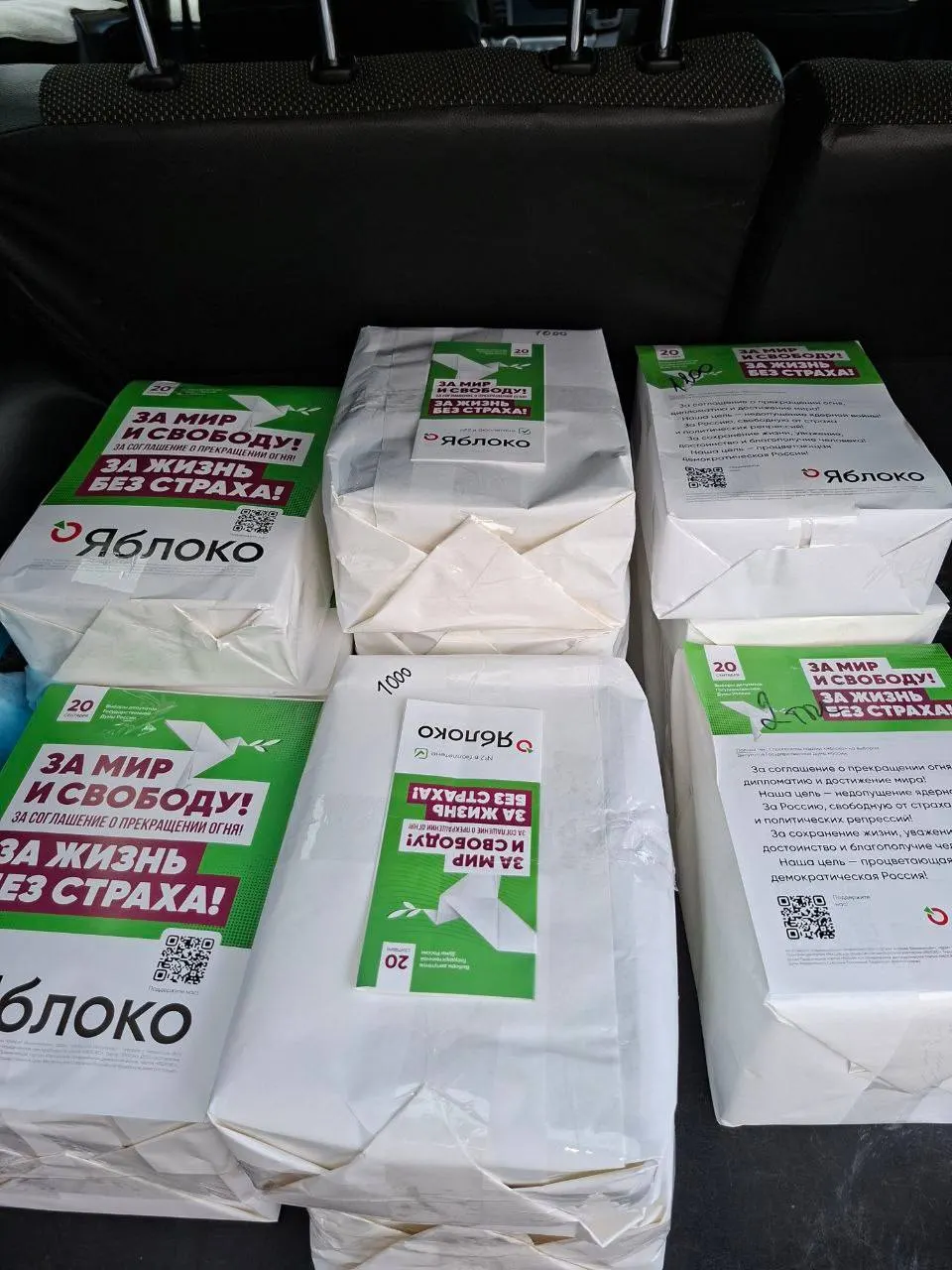 В Чувашии стартовала кампания партии «Яблоко»: набор волонтёров, распространение материалов и сбор донатов в поддержку кампании в регионе.