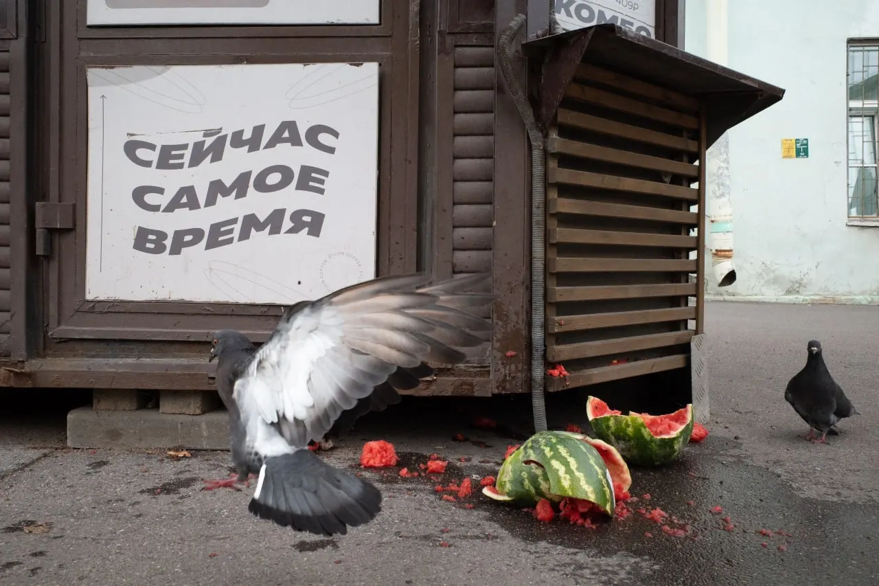 Штраф за антивоенное высказывание священника в Петербурге, новые иски на выборах, поминальные службы и политические события в России и за рубежом.