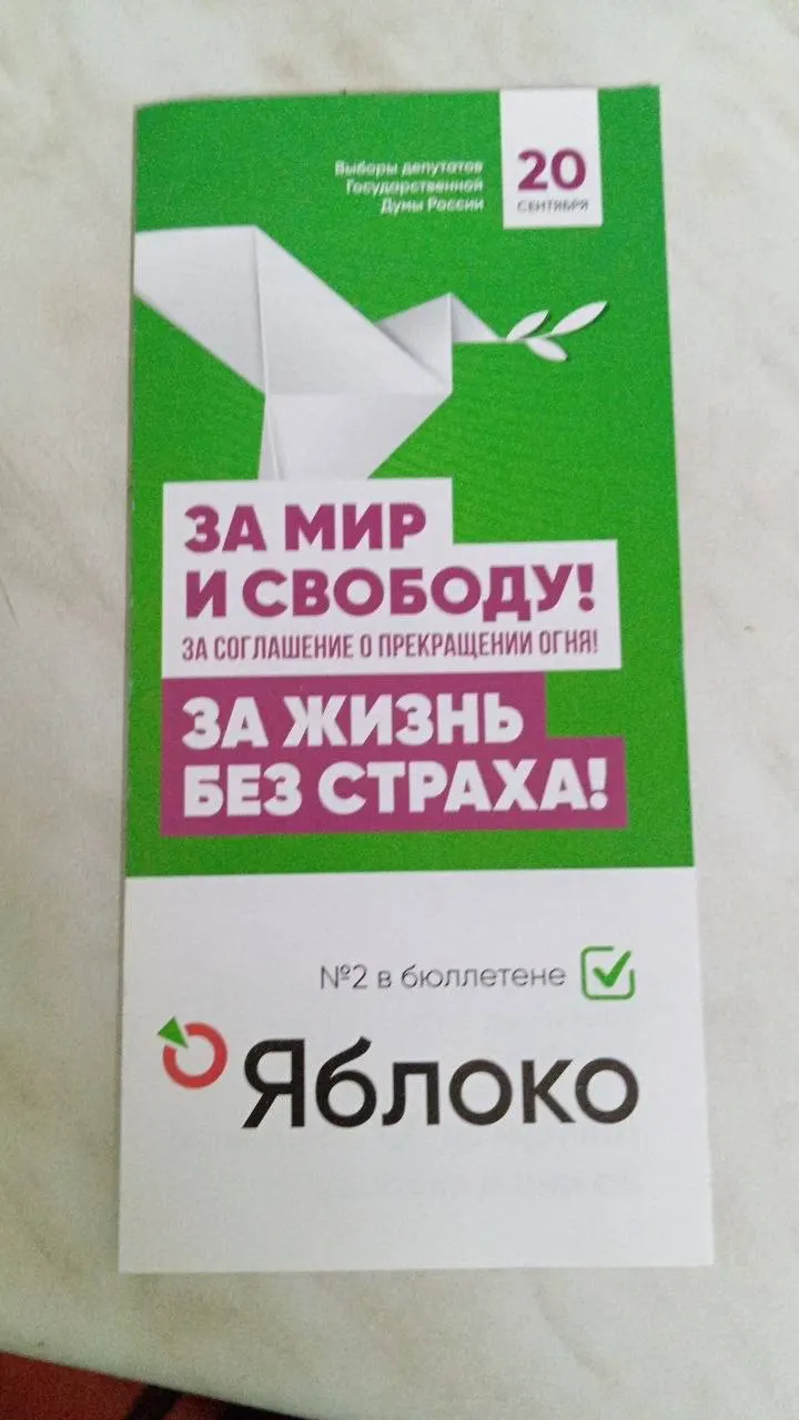 Чебоксарское отделение партии сообщило о получении тиражей агитационных материалов и призвало сторонников не медлить: забирайте листовки и буклеты для распространения и поддержите кампанию пожертвованием.