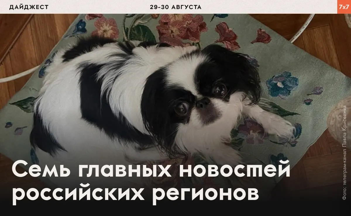Дайджест тревожных случаев: принуждение к бегу политзаключённых, запреты на мирную агитацию и жалобы на репрессии силовых структур по регионам.